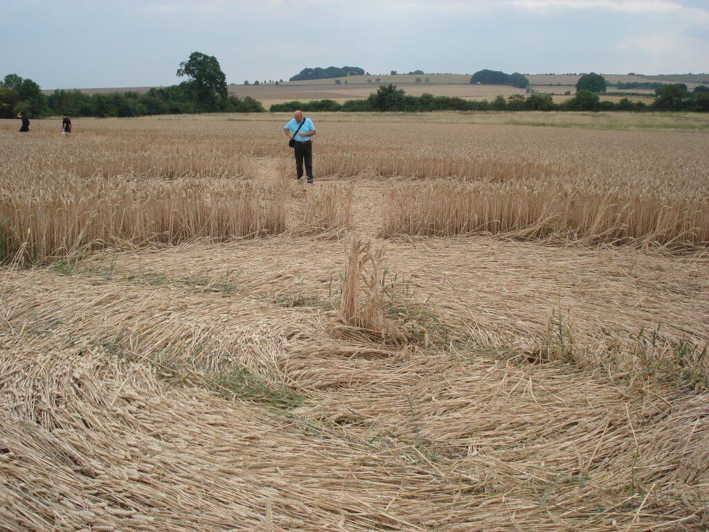 Circle of flattened barley in foreground with man standing behind