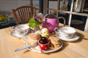 A traditional cream tea laid out on a table inside the Lustleigh Tearooms, with scones, jam and cream. A large pink teapot.