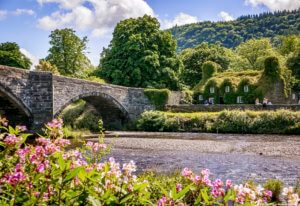 A stone bridge over the River Conwy with flowers in the foreground